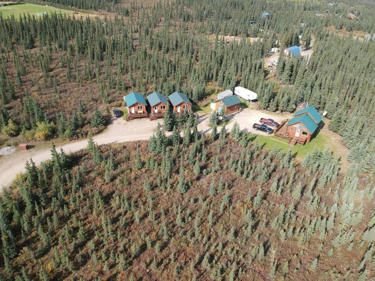 Denali'S Alaskan Spruce Cabins Healy Eksteriør bilde