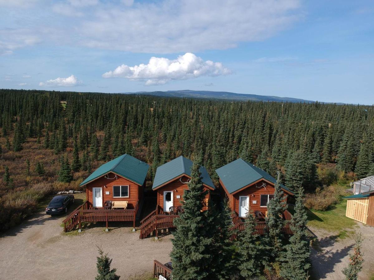 Denali'S Alaskan Spruce Cabins Healy Eksteriør bilde