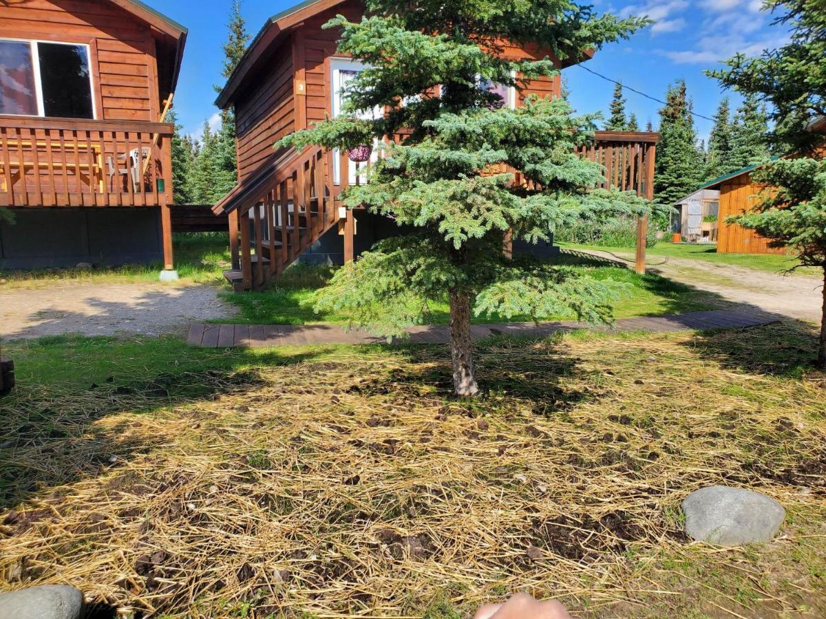 Denali'S Alaskan Spruce Cabins Healy Eksteriør bilde
