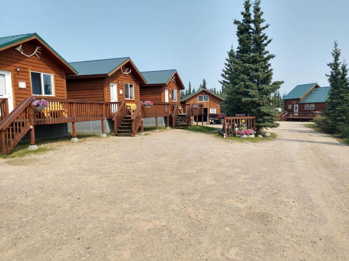 Denali'S Alaskan Spruce Cabins Healy Eksteriør bilde