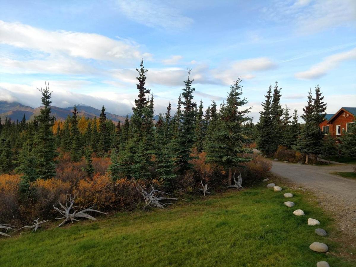 Denali'S Alaskan Spruce Cabins Healy Eksteriør bilde