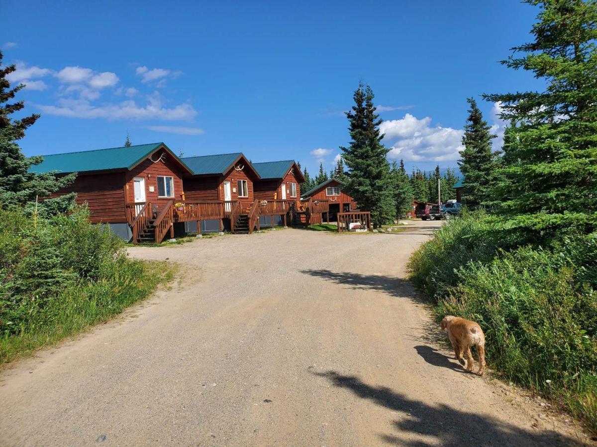 Denali'S Alaskan Spruce Cabins Healy Eksteriør bilde