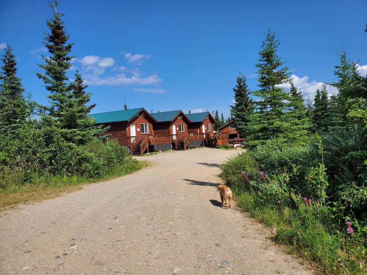Denali'S Alaskan Spruce Cabins Healy Eksteriør bilde
