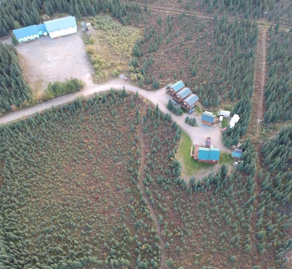Denali'S Alaskan Spruce Cabins Healy Eksteriør bilde