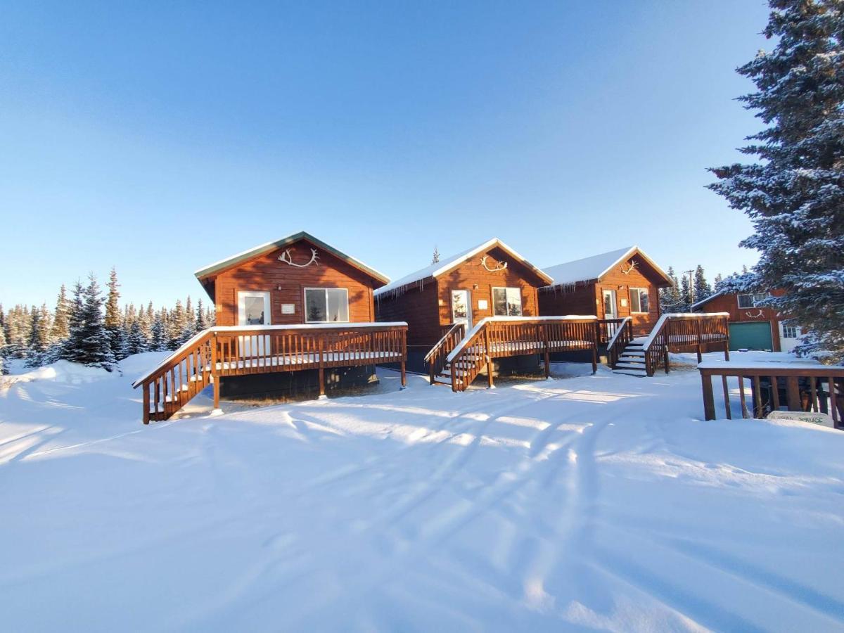 Denali'S Alaskan Spruce Cabins Healy Eksteriør bilde