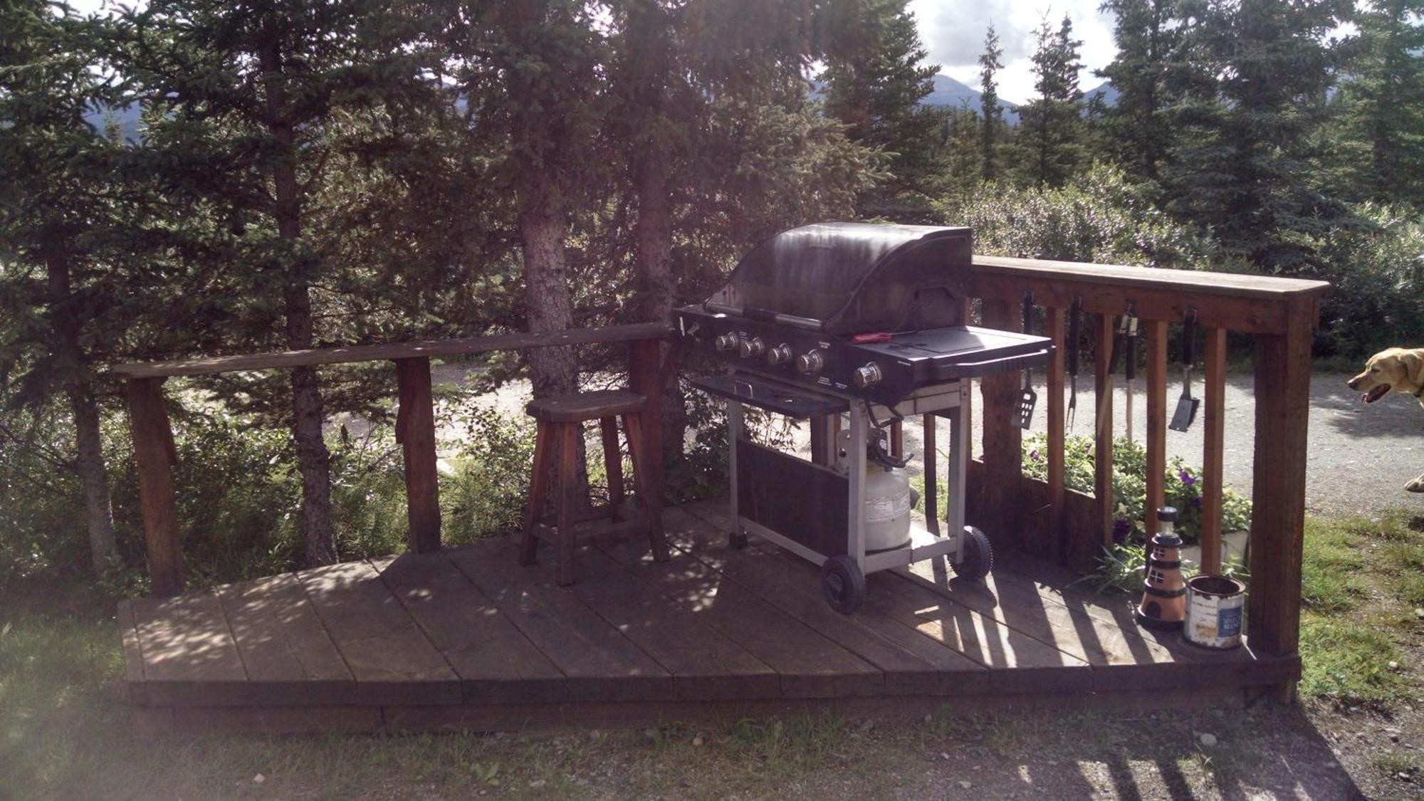 Denali'S Alaskan Spruce Cabins Healy Rom bilde