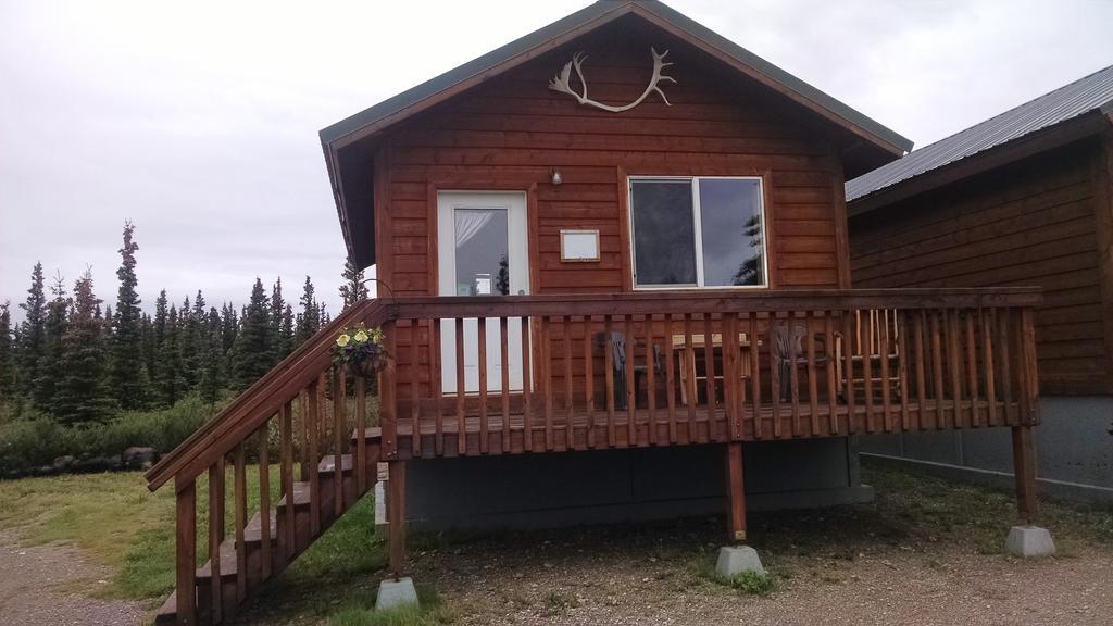 Denali'S Alaskan Spruce Cabins Healy Eksteriør bilde