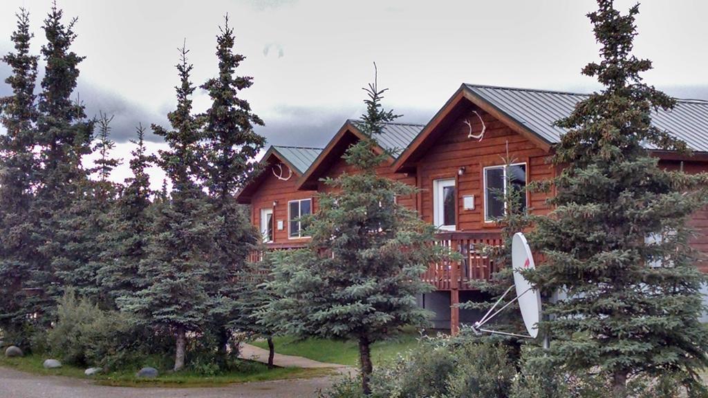 Denali'S Alaskan Spruce Cabins Healy Eksteriør bilde