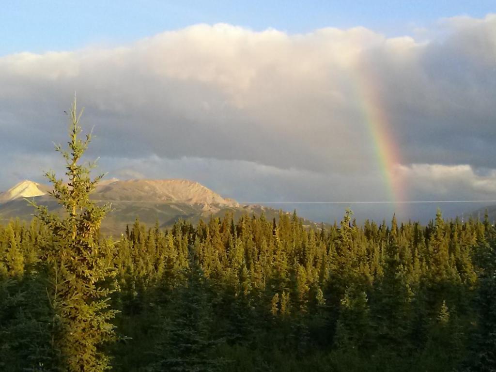 Denali'S Alaskan Spruce Cabins Healy Eksteriør bilde