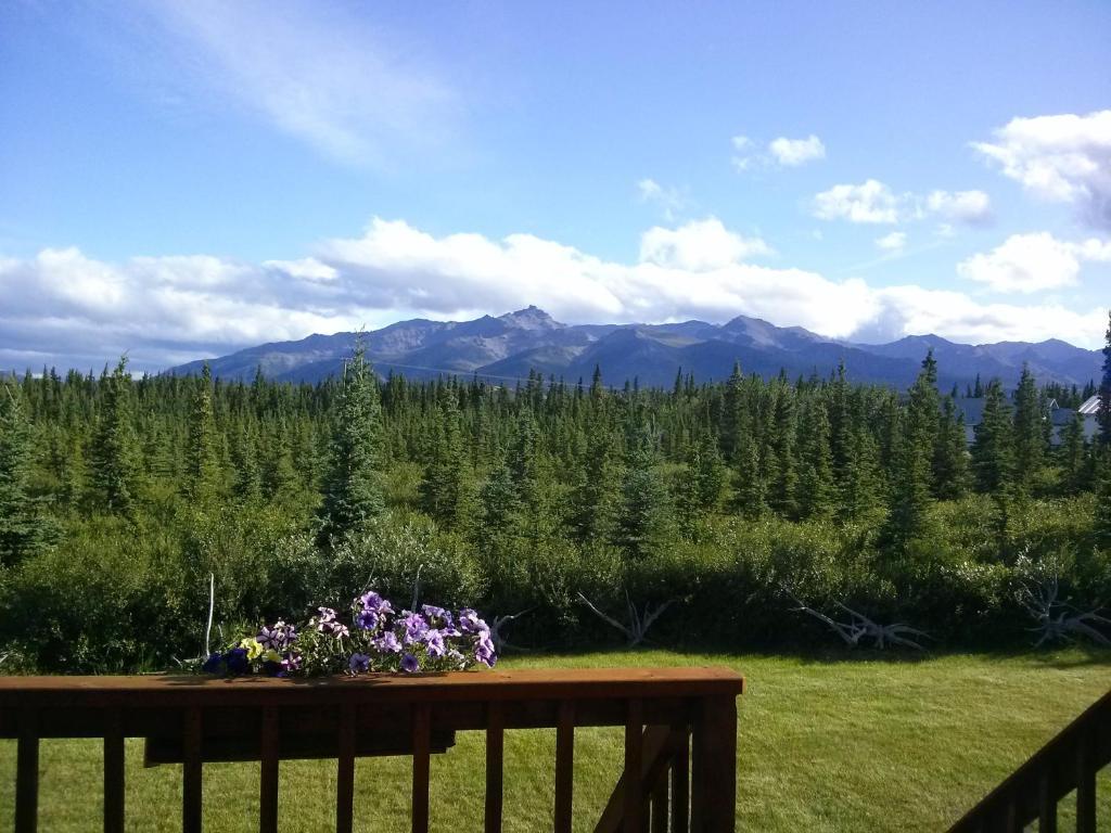 Denali'S Alaskan Spruce Cabins Healy Eksteriør bilde